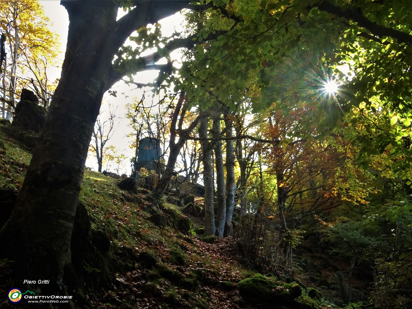 29 Capanno di caccia colorato d'autunno .JPG